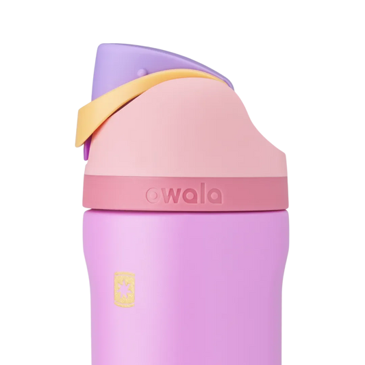 Disney Princess Collection